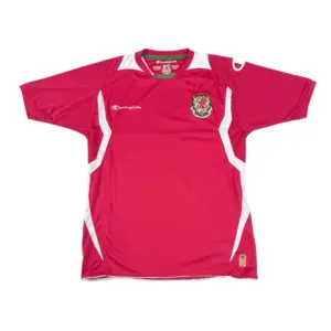 2008-2010 Wales Home Jersey (M)